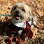 Reggie Murphy - @curiousreggie - Instagram