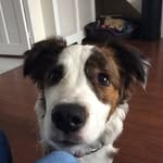 Reggie Murphy - @reggiemurphy2468 - Instagram
