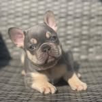reggie murphy - @reggie_murphy2022 - Instagram