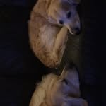 Reggie_Murphy_ - @reggie_murphy_ - Instagram