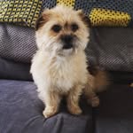 Reggie Murphy-Knock - @murphyknock - Instagram