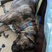 Reginald Murphy - Facebook