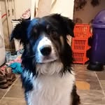 @reggie.page_123 - Instagram