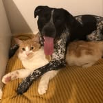 Reggie and elmos page - @reggie_and_elmos_life - Instagram