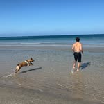 @reggie_page12 - Instagram