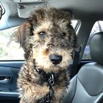 Reginald Jones Pate - @reggie.jones.pate - Instagram