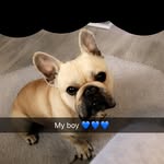 Reggie & Ruby Richards🐶 - @reggierichards.rubyrichards2 - Instagram