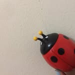 Reggie 😎😜🐞 - @reggie.roachhh - Instagram