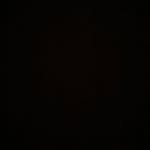Reggie.the.roach - @_reggie_the_roach_ - Instagram