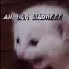 reggietheroach__ - @reggietheroach__ - TikTok