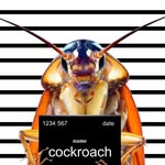 Ugly bitches only - @reggie.the.roach - Instagram