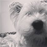 Reggie🌟 - @reggie_small_boy - Instagram