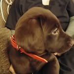 Reggie small - @smallreg5 - Instagram