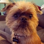 reginaldo - @reggie.smalls - Instagram