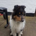 Reggie Swanson - @reggie.swanson - Instagram