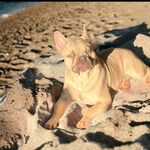 Reggie Webster - @reggie_roo_w2022 - Instagram