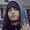 Slim shady - @reggie.webster2 - TikTok