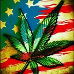 Weed Reggie Loud - @weed.reggie.loud - Instagram