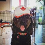 Reggie Olivier-Wells - @reggieolivierwells - Instagram