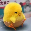 reggie wu - @reggiewu127 - TikTok