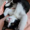 ReggieUwU - @reggieuwu - TikTok