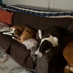 Regina - @reginaabramowitz - Instagram