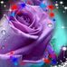 Regina Abrams - Facebook