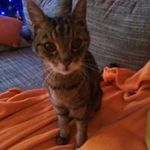Regina Adler - @regina.adler.5 - Instagram