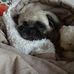Regina Adler - Facebook