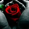 ReginaAllisonytZnO - @kenneth_thomasmngsg - TikTok
