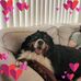 Regina Babb - Facebook