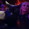 pessoas que amam os animais ❤️ - @reginabaptista_ - TikTok