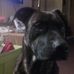 Regina Beach - Facebook