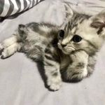 Regina Beasley - @reginabeasley - Instagram