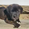 Bill Regina - @bill.regina - TikTok