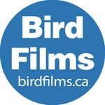 Bird Films Co. Ltd. - @birdfilms_regina - Instagram