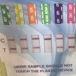 Regina Boston CPC, BAT Owner - @gem_drug_and_alcohol_testing - Instagram