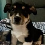 Regina Bell Johnson - @bowieregina1973 - Instagram