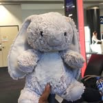 Bunny Loca🐰 - @reginabunnyloca - Instagram