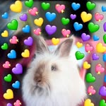 𝑹𝒆𝒈𝒊𝒏𝒂 𝑩𝒖𝒏𝒏𝒚 - @bunny_regina_ - Instagram