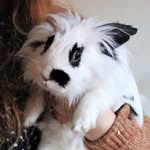 Reginabunny - @reginabunny - Instagram
