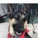 Regina Camacho - Facebook
