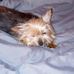 Gina Carmack-McBroom - Facebook