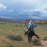 Regina Carpenter - @rmc123horses - Instagram