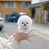 reginachase812 - @reginachase812 - TikTok
