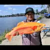 Hooked_On_Jesus_Crew - @regina.chung6 - TikTok