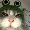 reginacombspfdrgj - @reginacombspfdrgj - TikTok