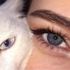 regina - @regina__cookew0 - TikTok
