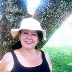 Sandra Regina Souza Corsi - @souzacorsi - Instagram