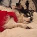 Gina Mondebello Cottrell - Facebook